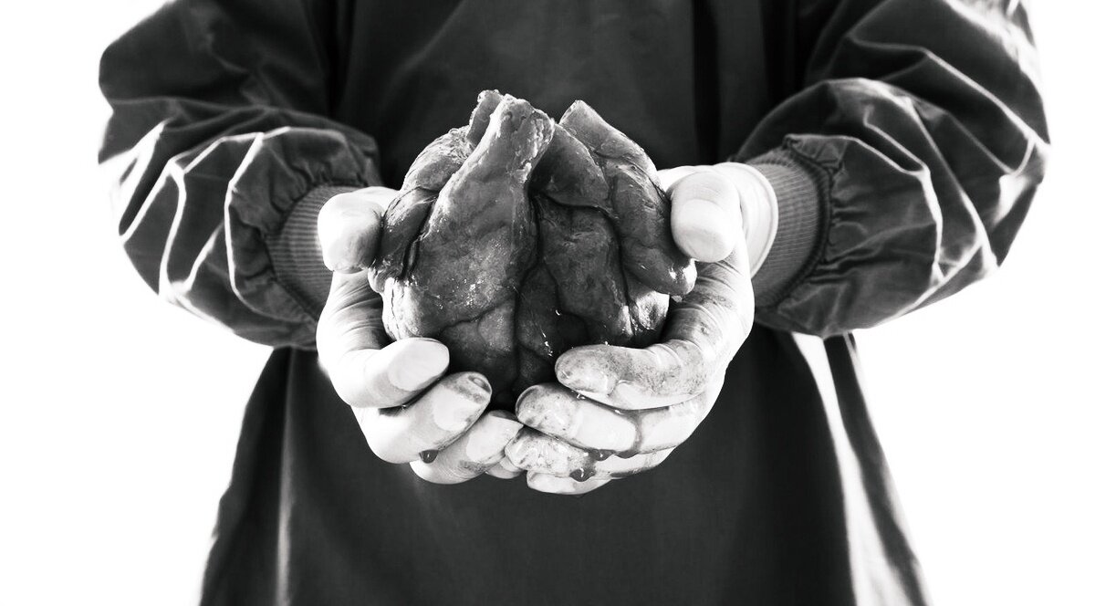 Фото из свободных источников 