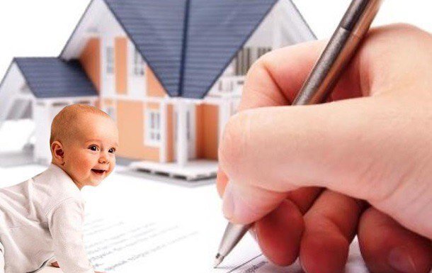 Фото из свободных источников. Яндекс картинки.