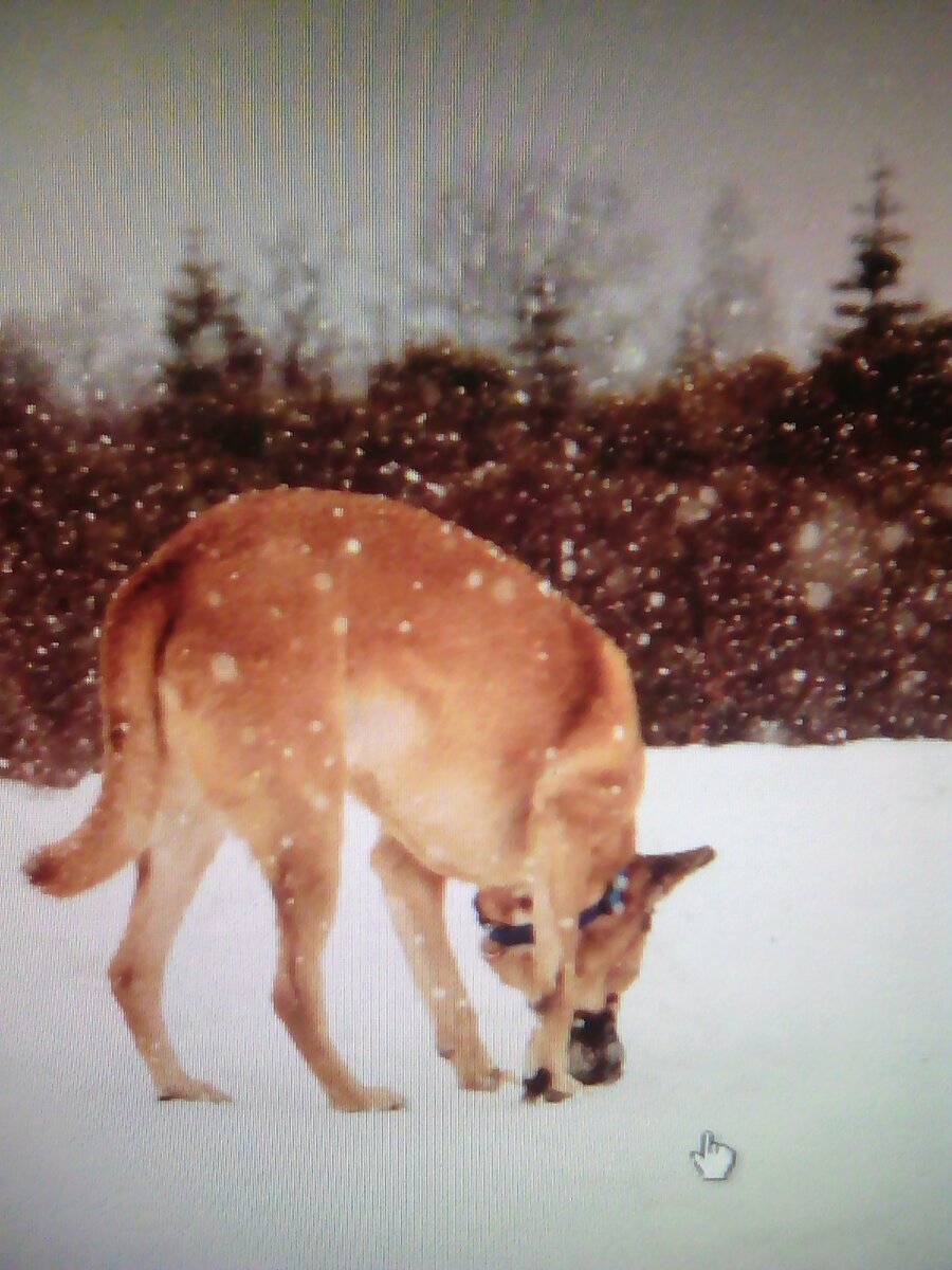 Ушла  в зиму и больше не вернётся