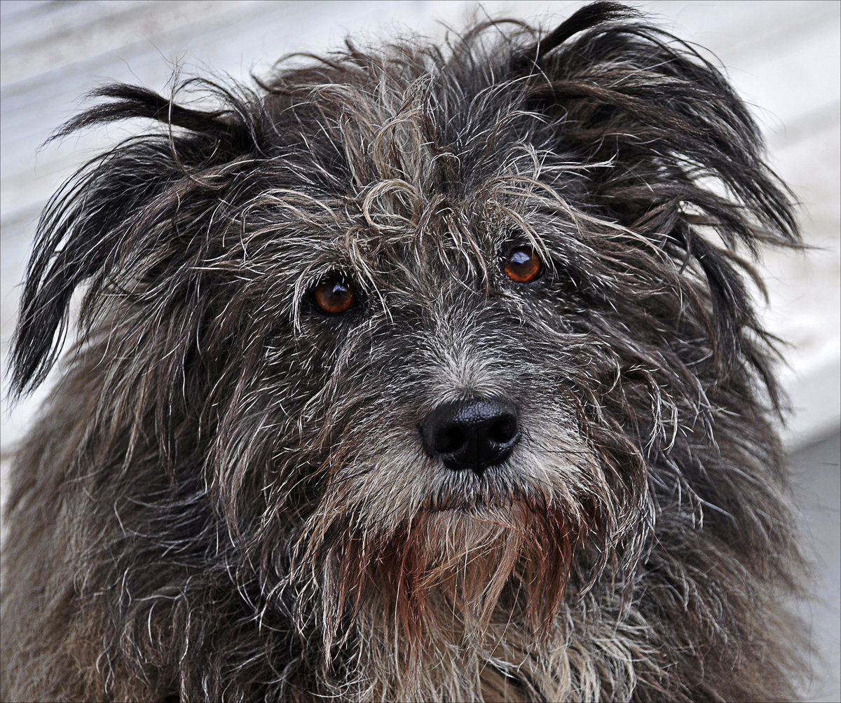 Фото из интернета, так как фотоаппарата у меня не было...