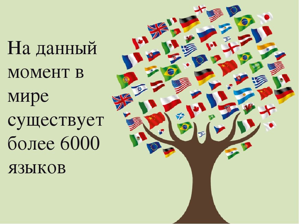 Место русского языка среди других предметов в нашей школе проект 6 класс