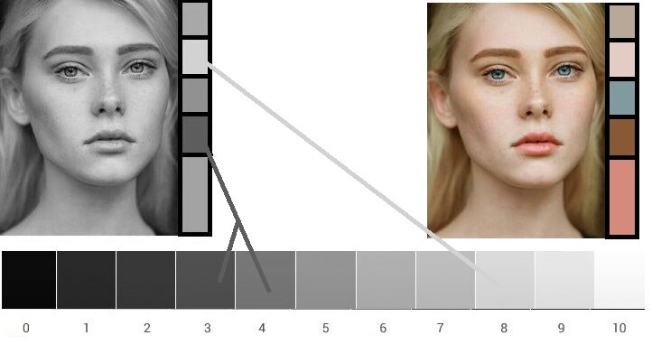 Как определить контраст внешности по чб фото