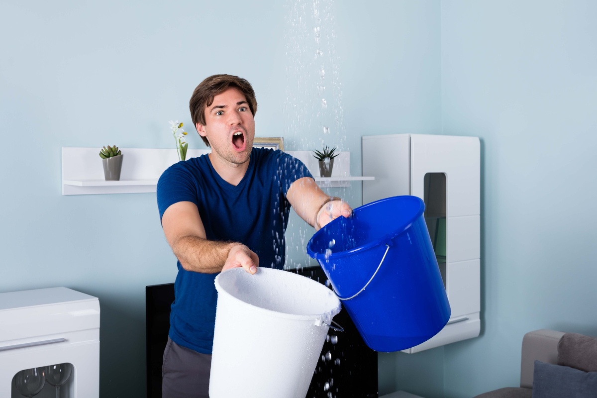 Источник: Яндекс Картинки.