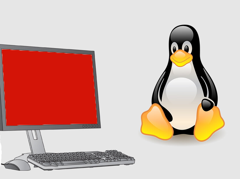 Тот самый пингвин, логотип операционной системы Linux