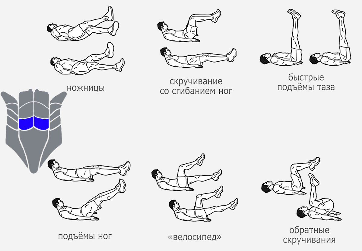 Тренировка на пресс. Эффективные упражнения для Нижнего пресса.