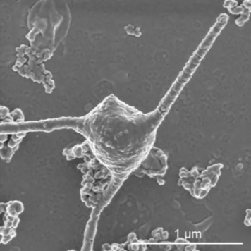 Фото из открытого источника, но лучше не нашлось