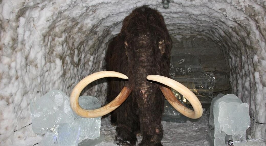 Фото из свободного доступа интернета . 