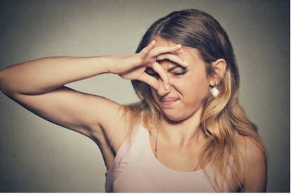 фото взято с сайта www.shutterstock.com