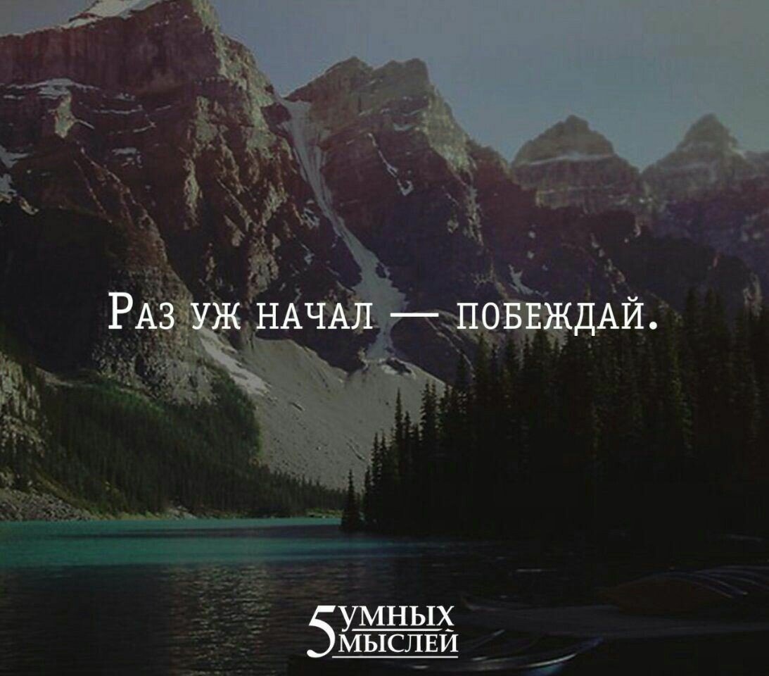 5 Умных мыслей 
