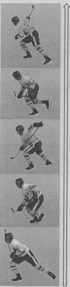 Техника передвижения на коньках
Характерной особенностью хоккея, в отличие от других спортивных игр, является то, что игровая деятельность хоккеистов осуществляется в движении на коньках. Поэтому техника передвижения на коньках является основой мастерства хоккеиста. Ее суть сводится к выполнению рационально организованных движений, направленных на скоростно-маневренное прохождение хоккеистом игрового пространства. В процессе игровой деятельности он выполняет различные виды бега, поворотов, торможений, прыжков (см. схему).

Бег на коньках. По способу выполнения бег на коньках подразделяется на:
— бег скользящими шагами;
— бег короткими шагами;
— бег скрестными шагами;
— бег спиной вперед.
Основной двигательный механизм этих видов бега имеет много общего. Его суть заключается в переменных толчковых движениях ногами. Однако кинематические и динамические характеристики, содержание и координация движения имеют заметные различия.
Наиболее часто применяется в игре бег скользящими шагами. Им пользуются в большинстве случаев, когда надо пробежать относительно большое расстояние. Это бывает при откате к своим воротам при потере шайбы, при «длинной» контратаке и т.д. Этот вид бега самый экономичный, так как позволяет более рационально использовать инерцию собственного тела при скольжении на коньках и успевать при этом расслаблять мышцы, участвующие в толчковых движениях. Эффективность бега во многом зависит от посадки хоккеиста, т.е. его исходного положения, определяемого рациональным расположением звеньев тела в пространстве. Посадка должна быть удобной, устойчивой и обеспечивать возможность свободного проявления рабочих усилий в отталкивающих движениях ногами для развития определенной скорости. Посадка во многом зависит от анатомо-морфологических особенностей хоккеиста (роста, длины отдельных звеньев тела).
Вместе с тем при обучении целесообразно придерживаться следующего усредненного, биомеханически обоснованного варианта.

Туловище наклонено вперед на 15 — 25° от вертикали и согнуто в тазобедренном суставе под углом 100—120°, так что проекция плеч опережает колени. Ноги согнуты в коленном и голеностопном суставах соответственно под углами 90—110° и 70 — 80° так, чтобы проекция колена опережала стопу. Плечи развернуты, живот подтянут, голова поднята. Такая посадка обеспечивает нормальную работу мышц ног, не стесняет работу органов дыхательной и сердечно-сосудистой систем, позволяет хоккеисту хорошо видеть и ориентироваться в окружающей обстановке.
Бег скользящими шагами — циклическое движение, временная координата которого включает ряд последовательных фаз, периодически повторяющихся в процессе движения вперед