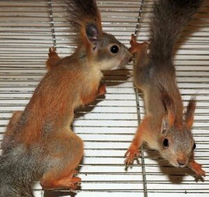 Фото из интернета