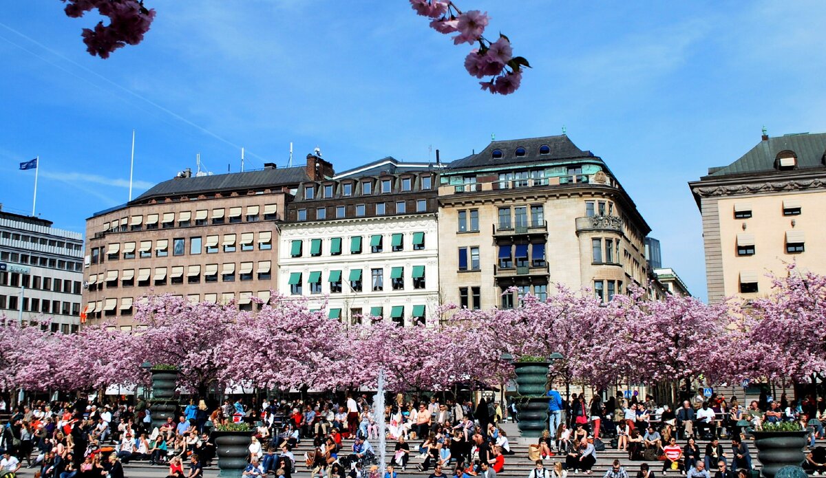 Королевский парк в Стокгольме.