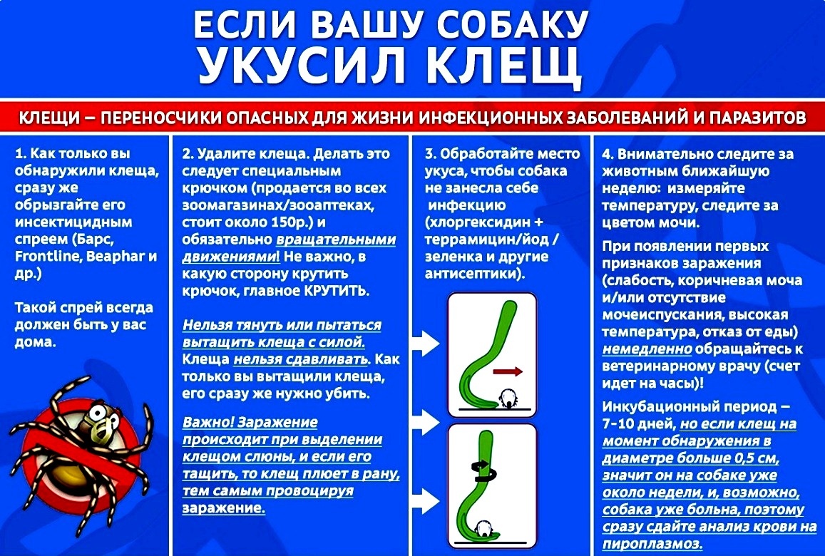 Информация из интернета свободного доступа 