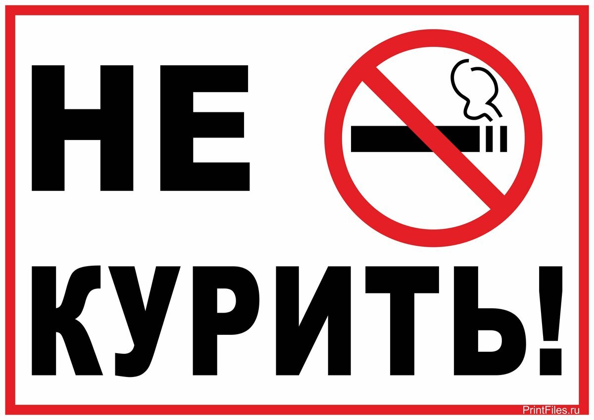 Картинка из открытых источников 