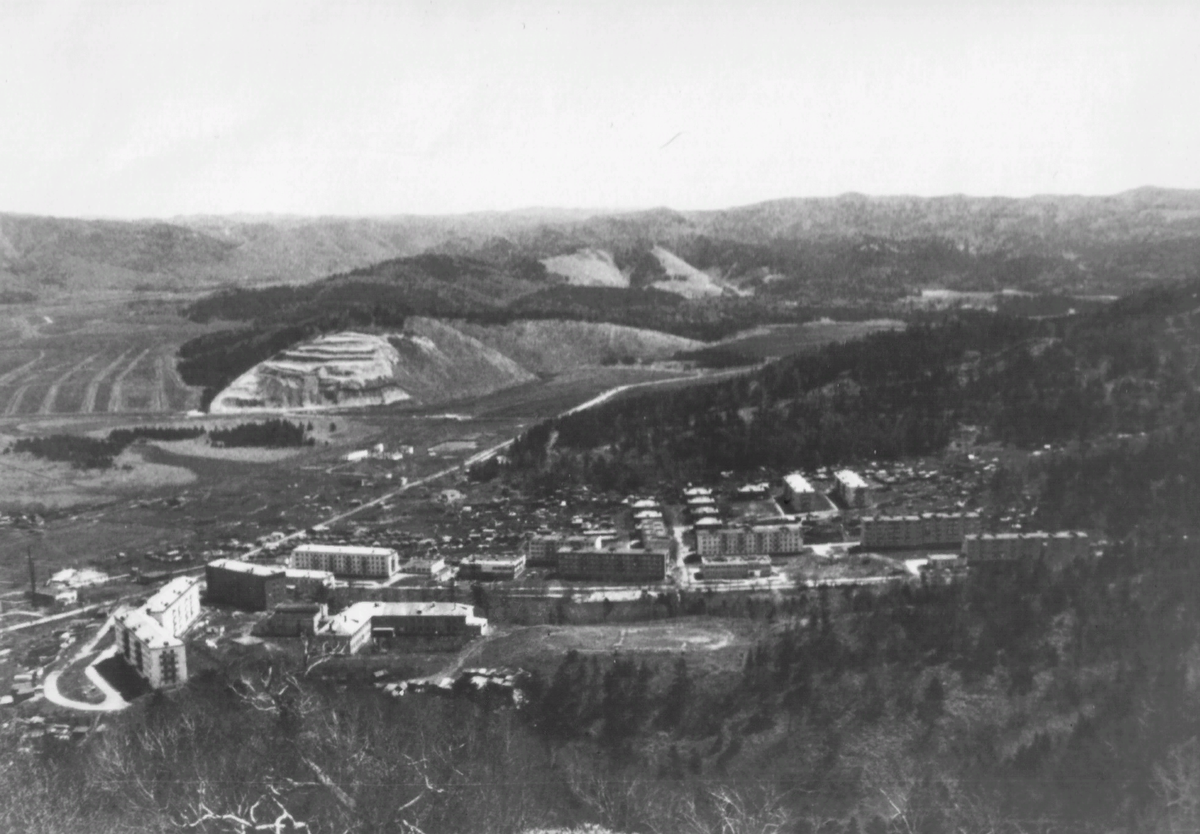 п.Шебунино Невельский район 