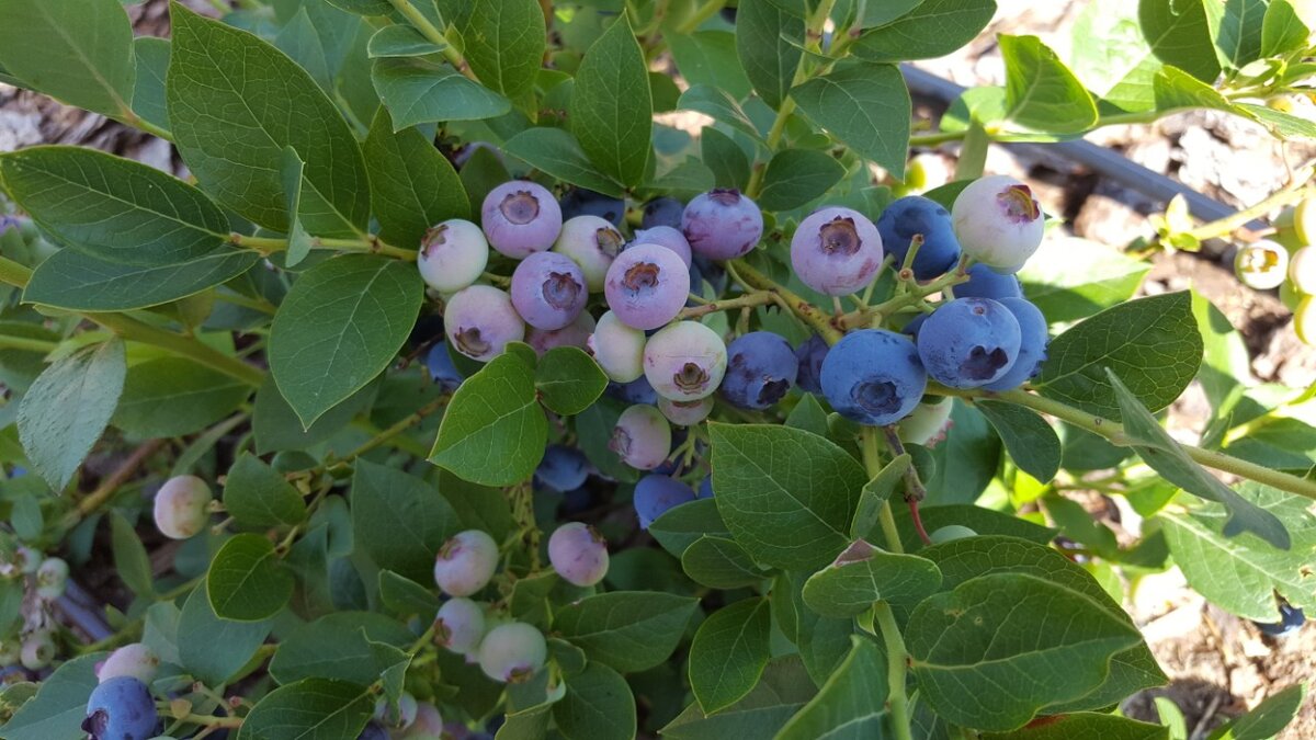 фото с прошлого года