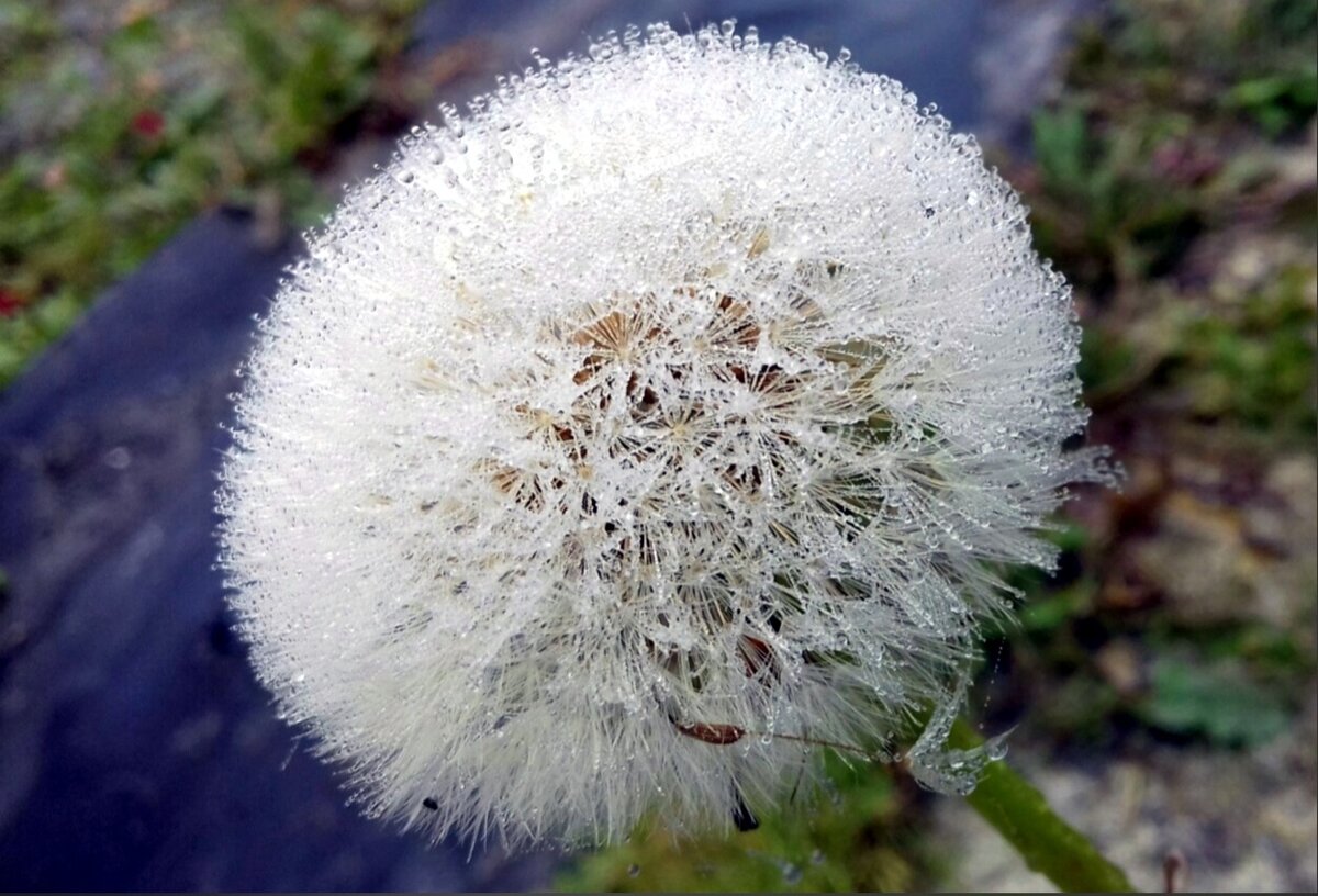 Жизнь способна проявить любые наши фантазии, но только в том случае, когда мы открыты и восприимчивы для этого чуда. Но в то же время, она проявляет в любом случае, нужно просто найти эти совпадения и зафиксировать.