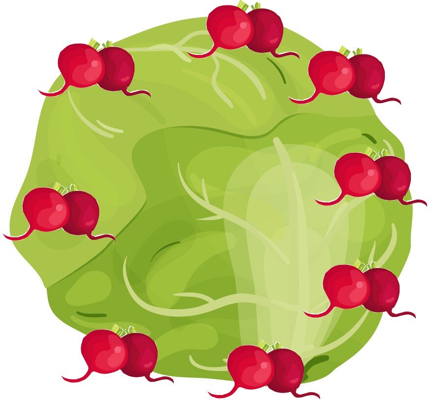 изображение из воображения