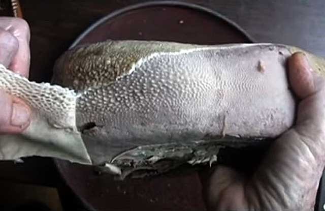 говяжий язык нарезанный. вареный говяжий язык. как очистить язык вареный. язык свиной нарезка. блюда из свиного языка.