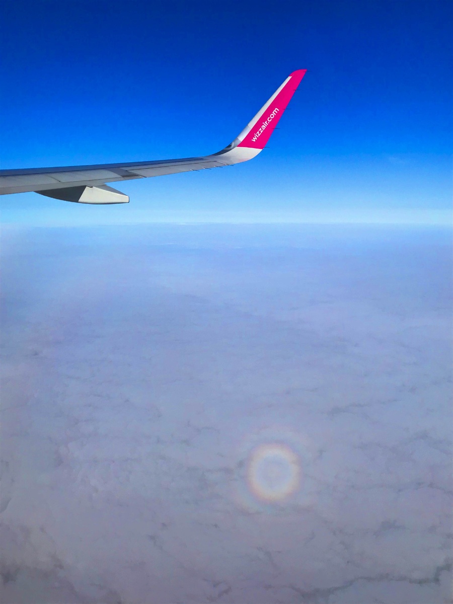 Вот она, кругленькая.