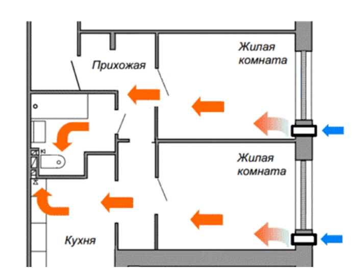 Как построить курятник своими руками: размеры на 10 и 20 кур