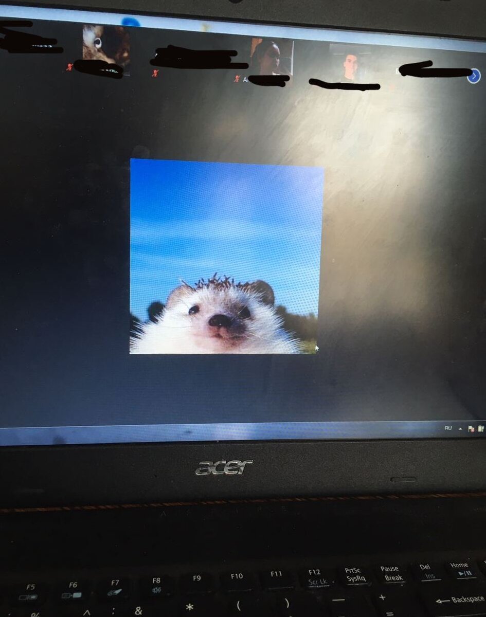 И вообще намного забавнее быть ежом...