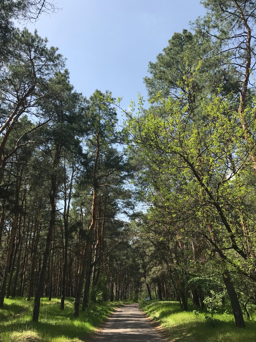 Фото из личного архива