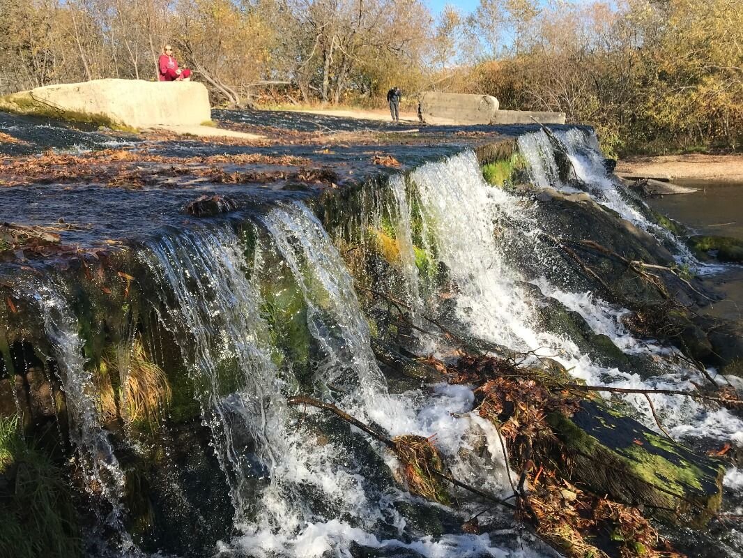 Яндекс картинки