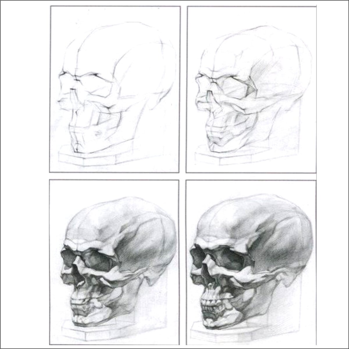 Как рисовать череп — академический рисунок