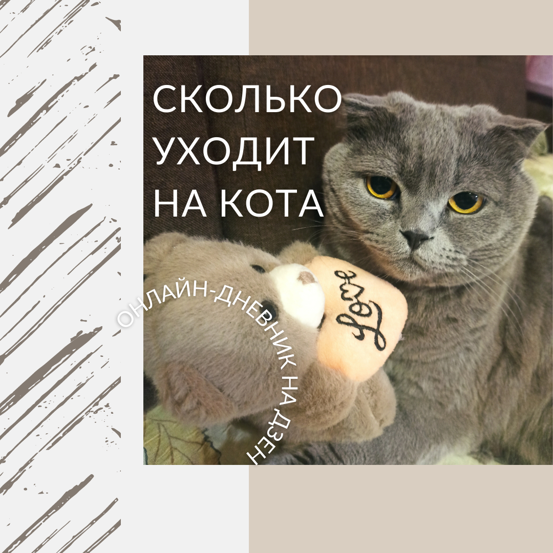 Коллаж автора. Тот самый кот