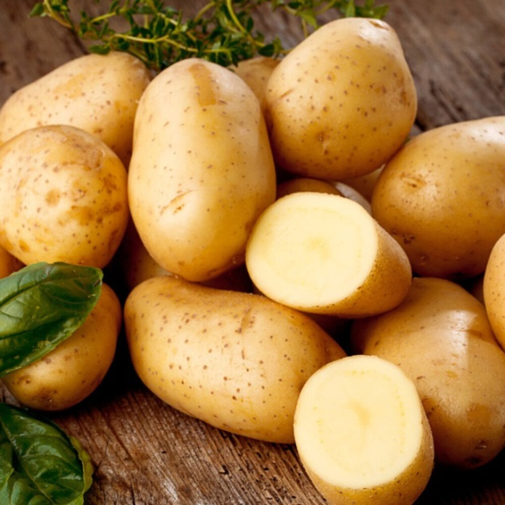 Топ удобрений при посадке и для роста картофеля в 21 году.