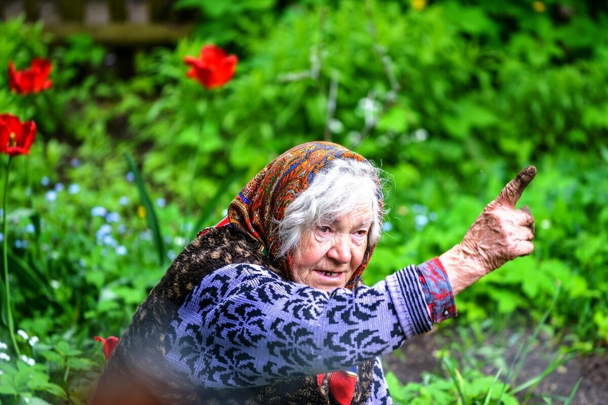 Фото взято из открытого источника https://yandex.ru/images