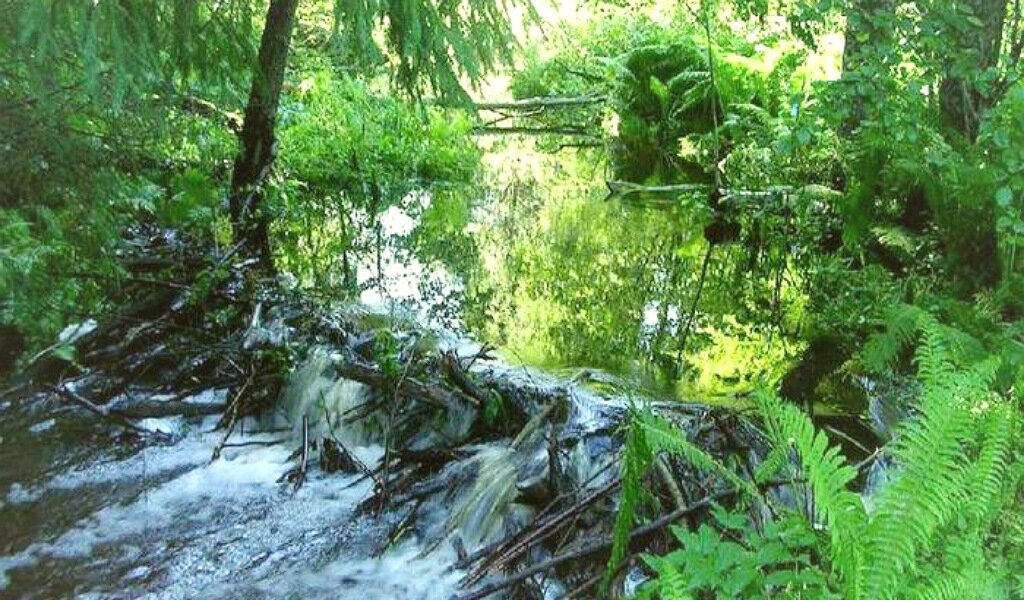 Взято: https://yandex.ru/images