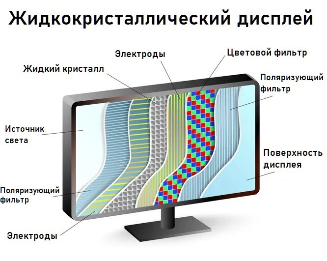 Источник: Shutterstock