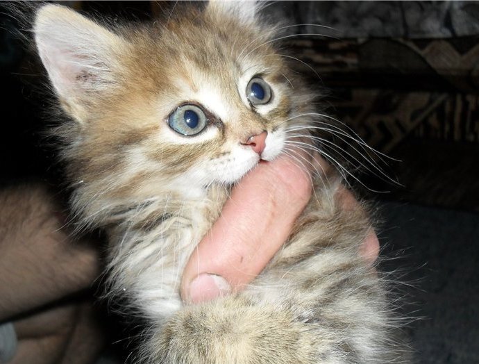 На передержке