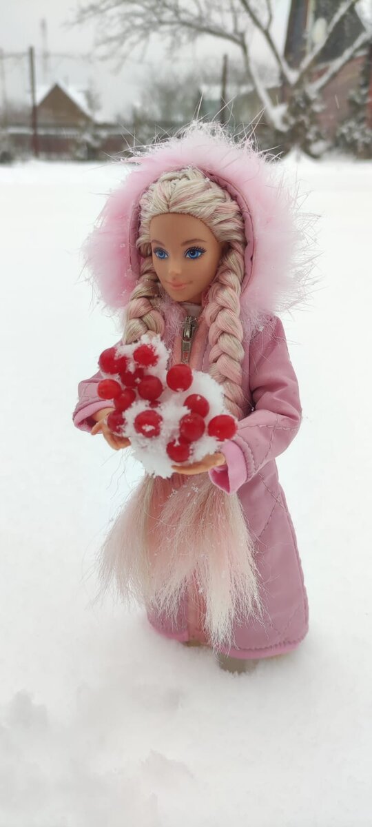 Зимняя калина