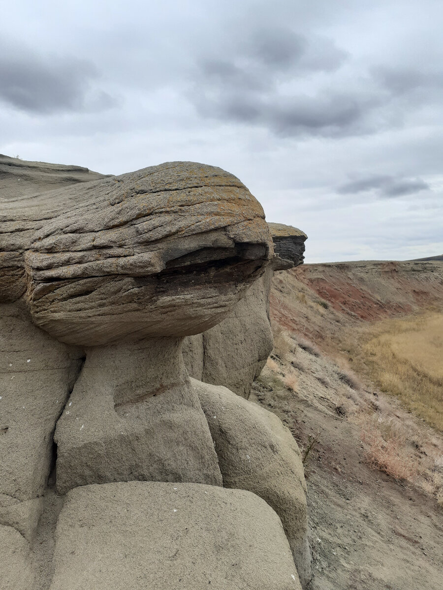 "Инопланетяне"