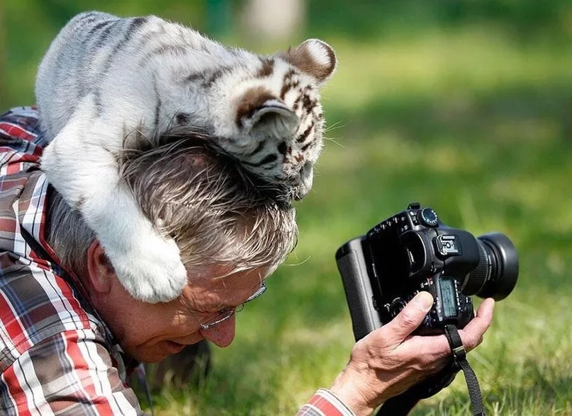 Источник фото: ok.ru