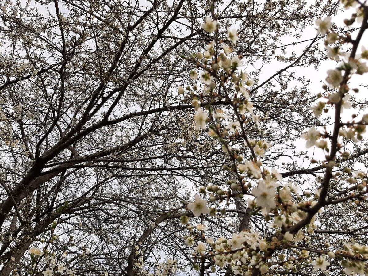 Фото Елены Погореловой