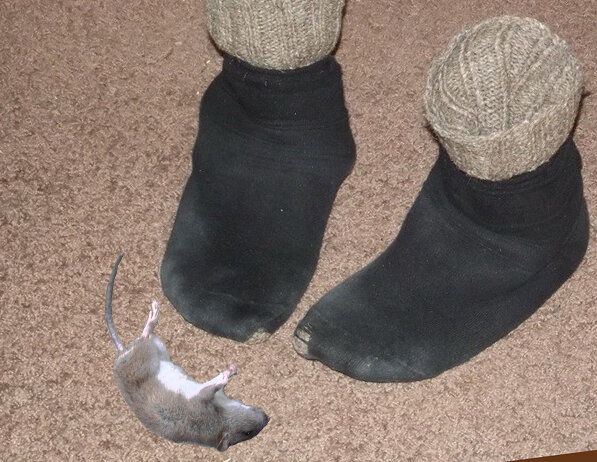 Жуткая смерть