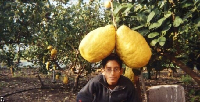 Самый большой лимон... 🍋