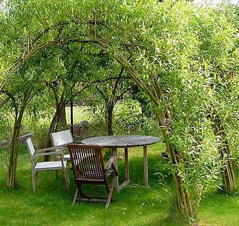 фото взято с платформы Яндекс картинки 
