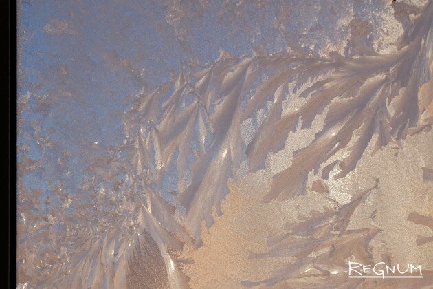    Мороз Наталья Стрельцова © ИА REGNUM