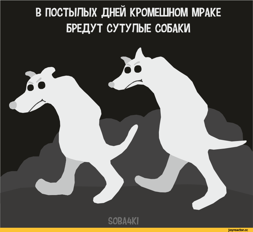 Бредший тема. Собака ты сутулая. Собака сутулая Мем. Мемы про собаку сутулую.