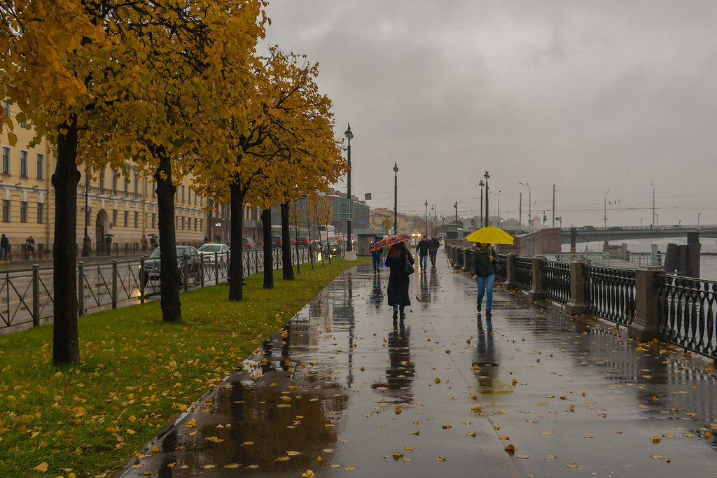 Золотая осень в СПБ Петроградка