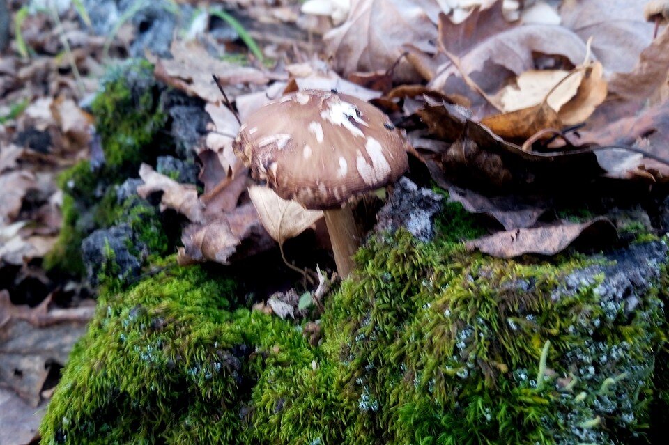     В Липецке до 4 градусов тепла Юлия КЛЮЕВА