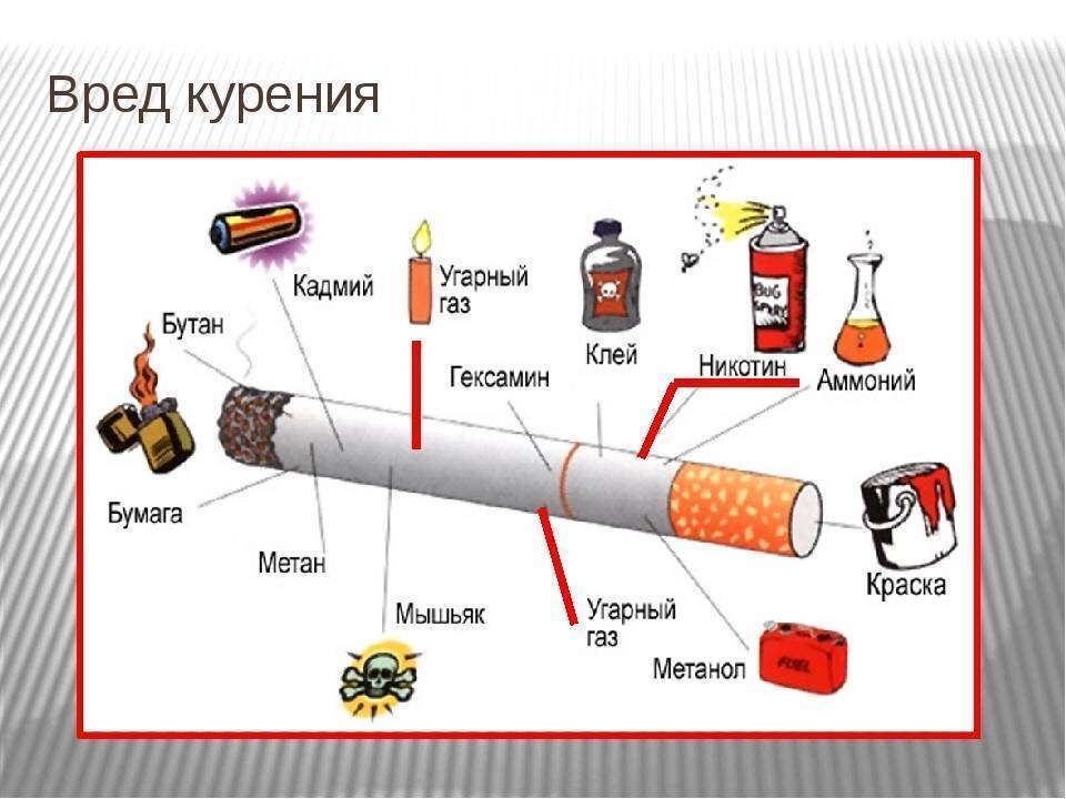 Фото из свободного источника