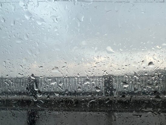   Екатерина Царева