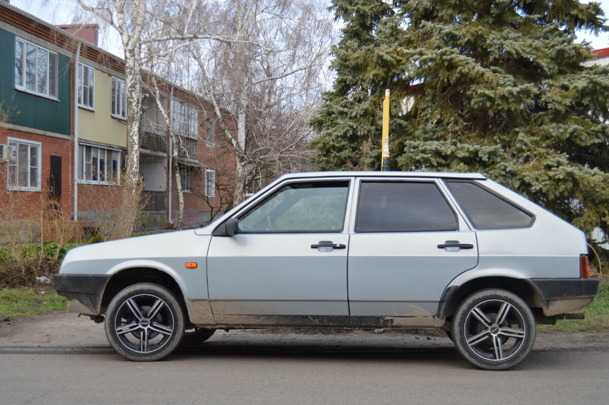 Фото автора. Станица. 03.12.2022. На дисках сидит!