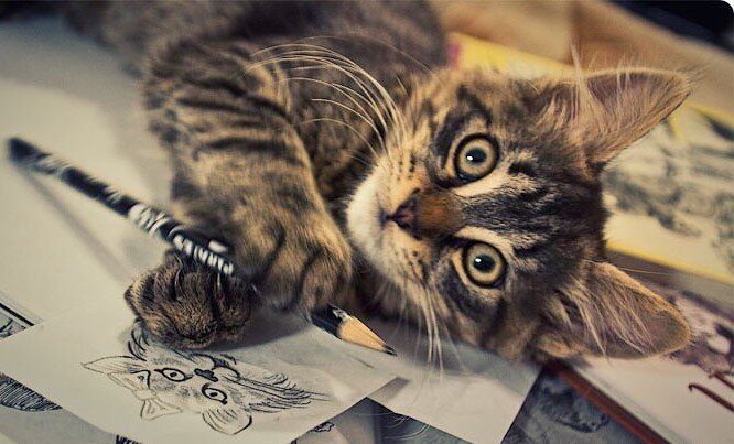 фото из интернета в свободном доступе